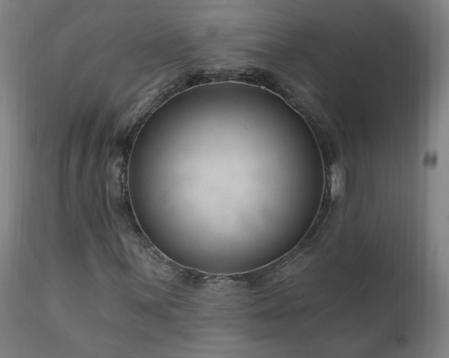 X0000111041059200906251356