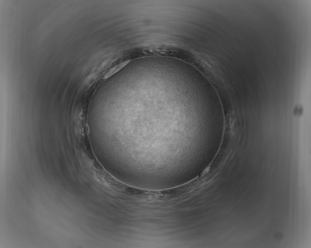 X0000111041060200906251356