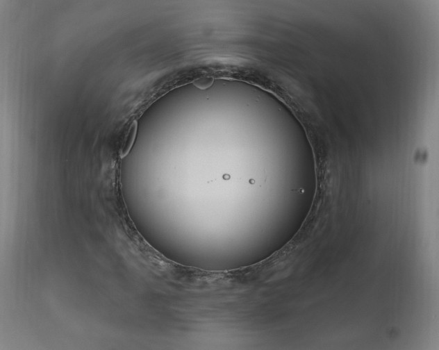 X0000111041061200906251356