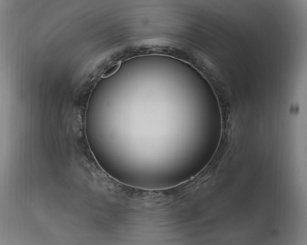 X0000111041062200906251356