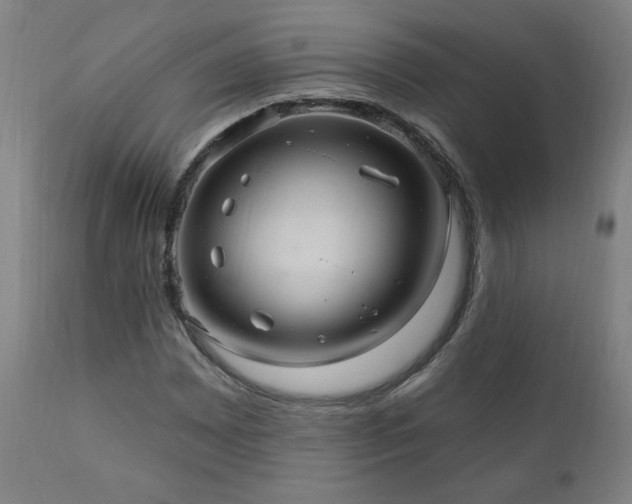 X0000111041065200906251356