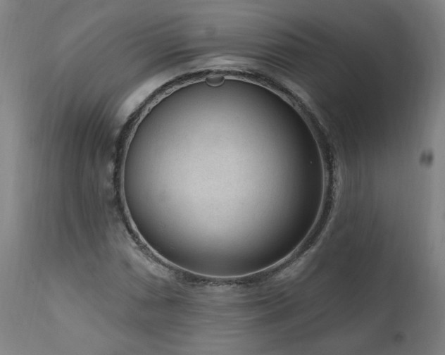 X0000111041066200906251356