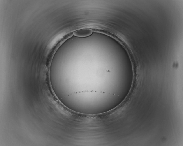 X0000111041067200906251356