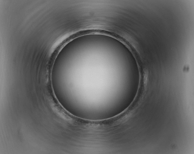 X0000111041069200906251356