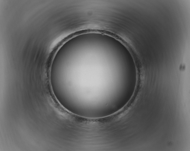 X0000111041070200906251356
