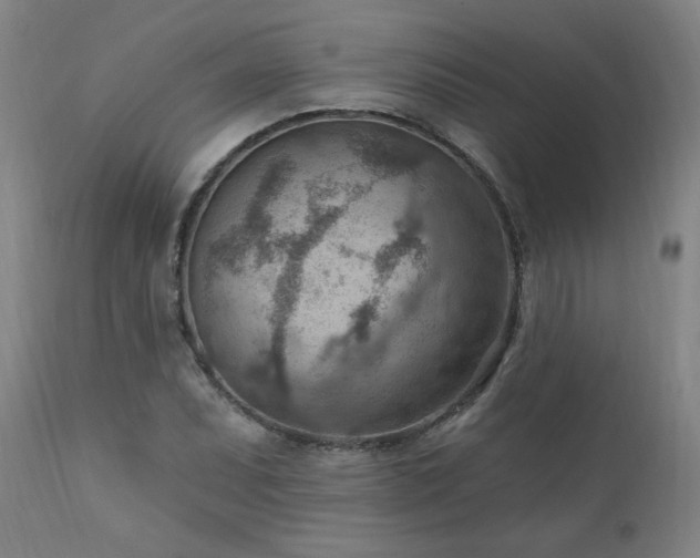 X0000111041071200906251356