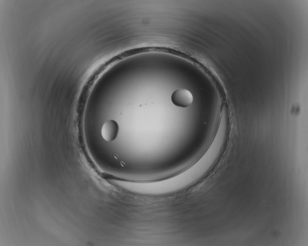 X0000111041072200906251356