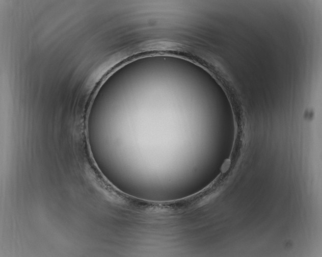 X0000111041073200906251356
