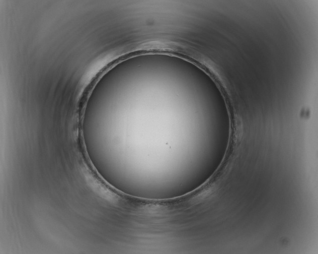 X0000111041075200906251356