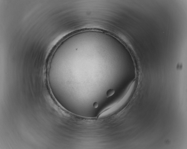 X0000111041076200906251356