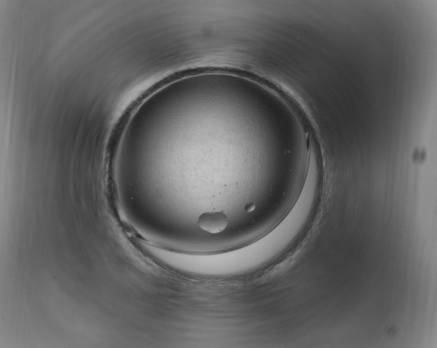 X0000111041077200906251356