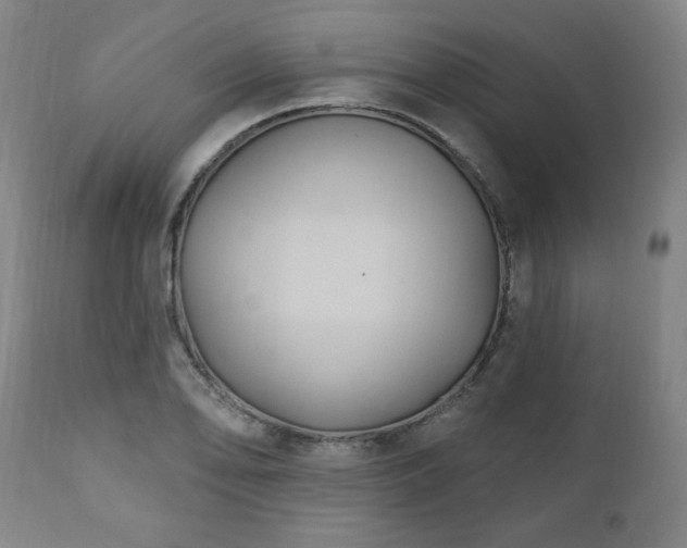 X0000111041078200906251356