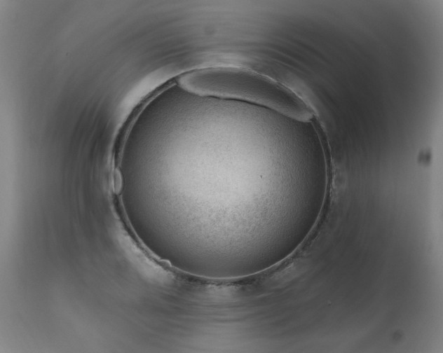 X0000111041080200906251356