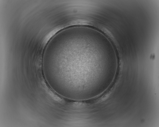 X0000111041081200906251356
