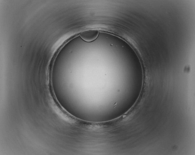 X0000111041082200906251356