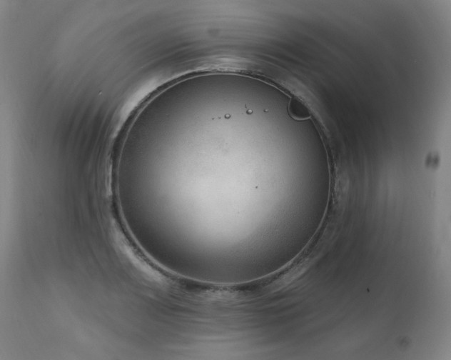 X0000111041083200906251356