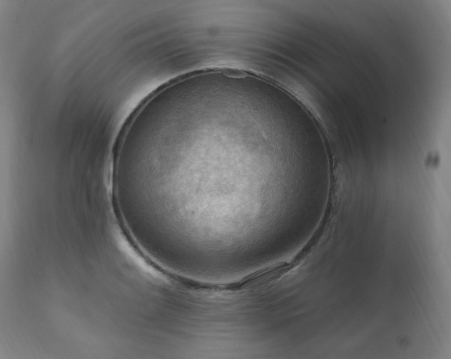 X0000111041084200906251356