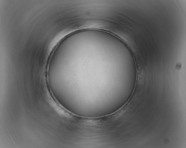 X0000111041086200906251356