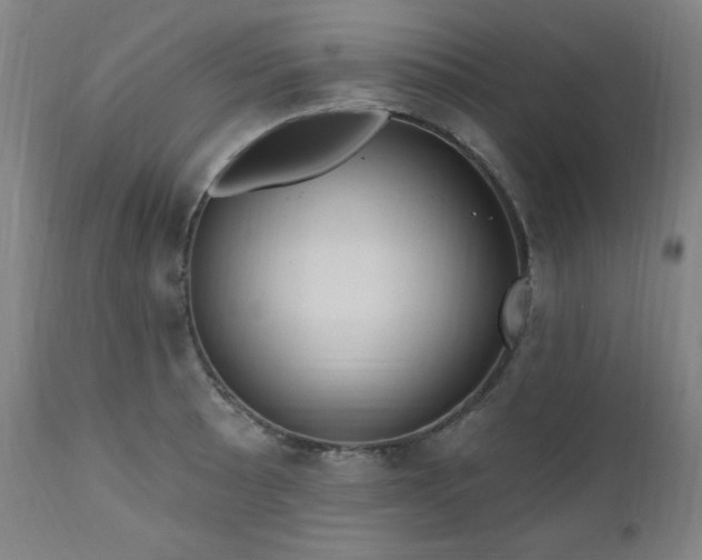 X0000111041089200906251356