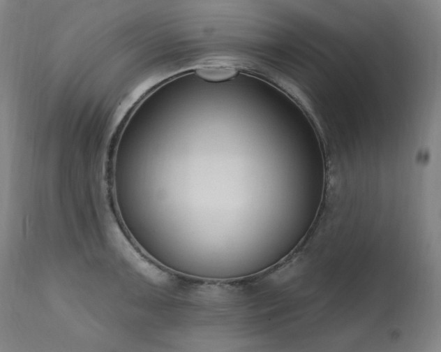 X0000111041091200906251356