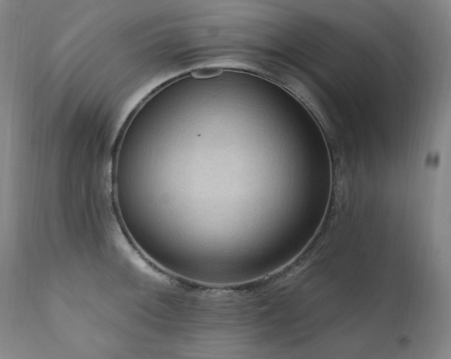 X0000111041092200906251356
