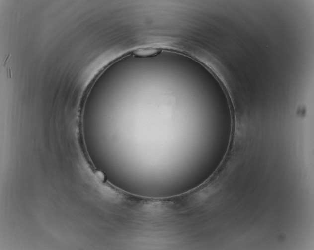 X0000111041093200906251356