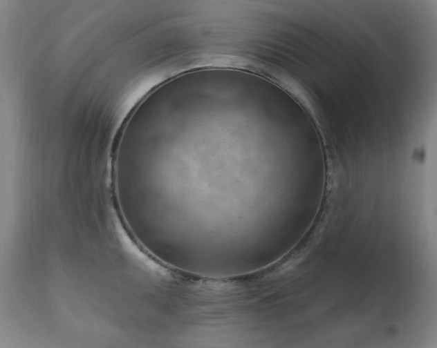 X0000111041095200906251356
