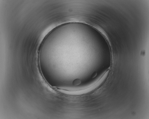 X0000111041096200906251356