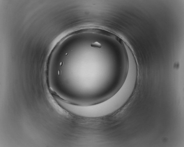 X0000111041098200906251356