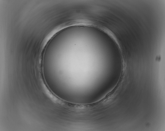 X0000111041099200906251356