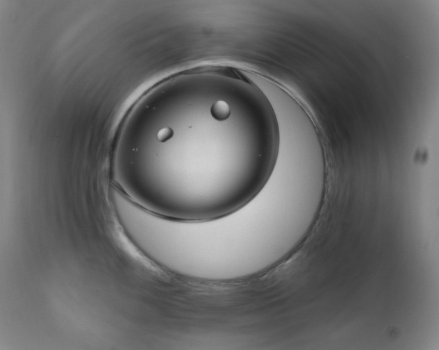 X0000111041100200906251356