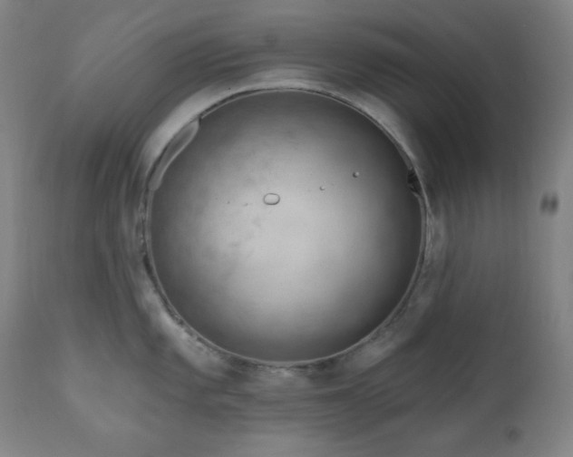 X0000111041101200906251356