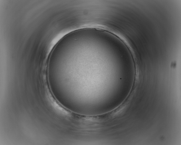 X0000111041102200906251355