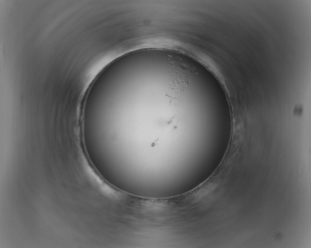 X0000111041103200906251355