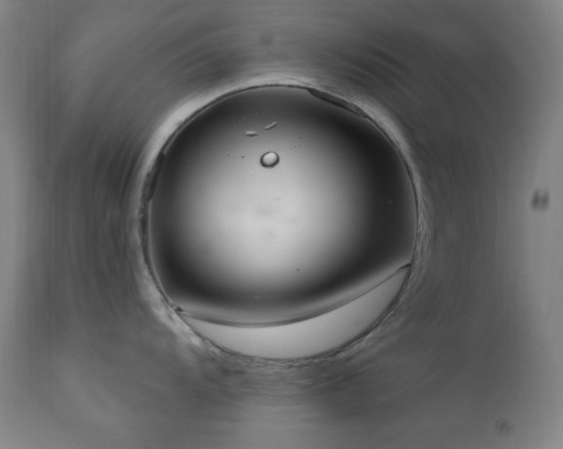 X0000111041104200906251355
