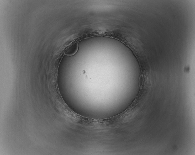 X0000111041105200906251355