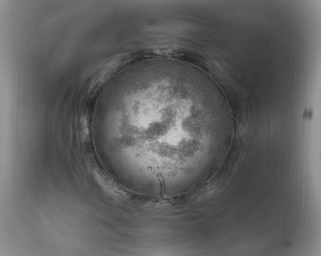 X0000111041106200906251355