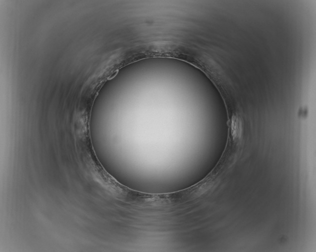 X0000111041107200906251355