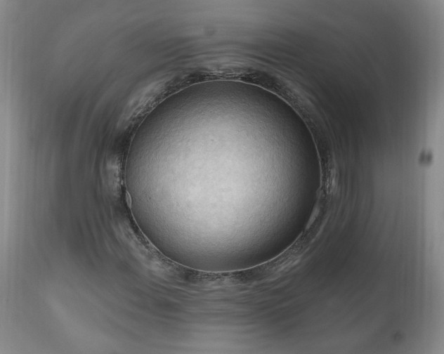 X0000111041108200906251355