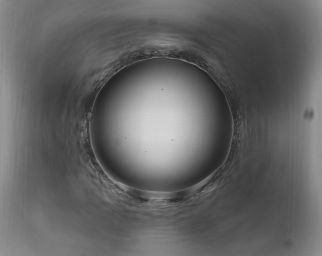 X0000111041109200906251355