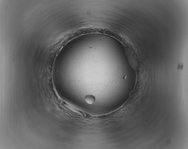 X0000111041110200906251355