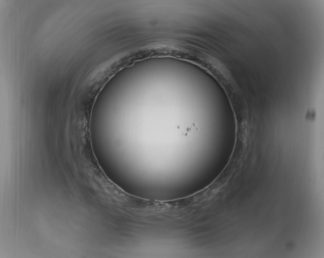 X0000111041111200906251355