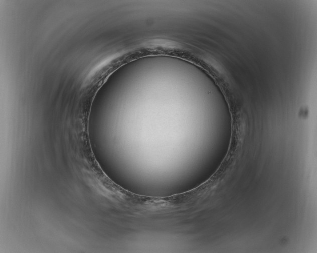 X0000111041112200906251355