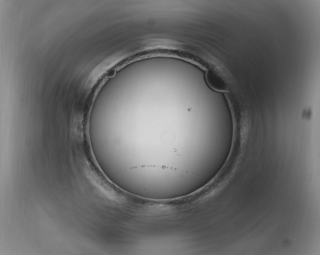X0000111041113200906251355