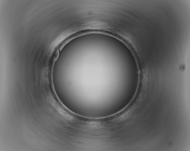 X0000111041114200906251355