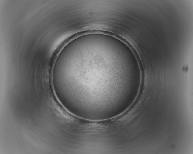X0000111041115200906251355