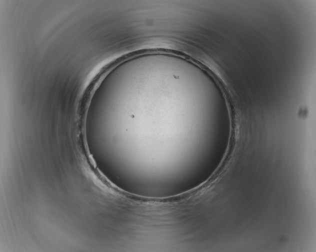 X0000111041116200906251355