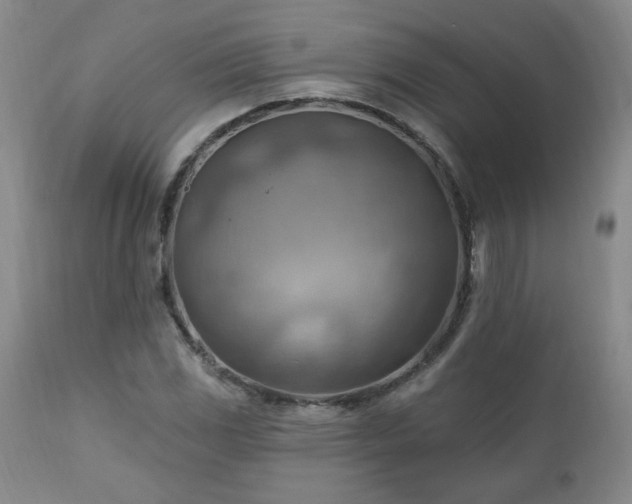 X0000111041117200906251355