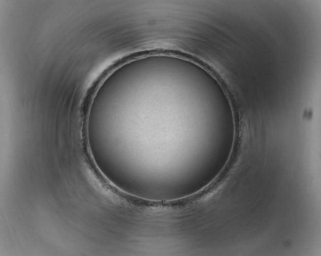X0000111041118200906251355
