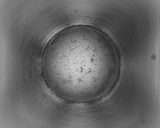 X0000111041121200906251355